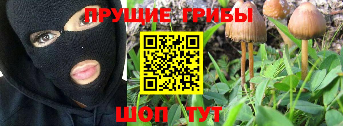 Псилоцибиновые грибы MAGIC MUSHROOMS Железноводск