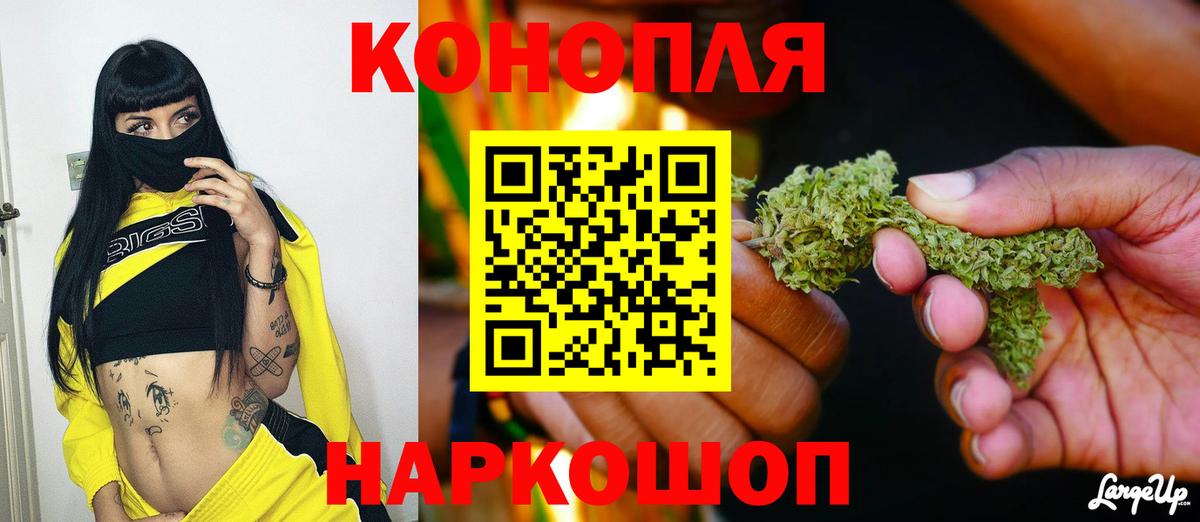 Бошки Шишки VHQ  Конопля сатива  Железноводск  Вход с VPN 